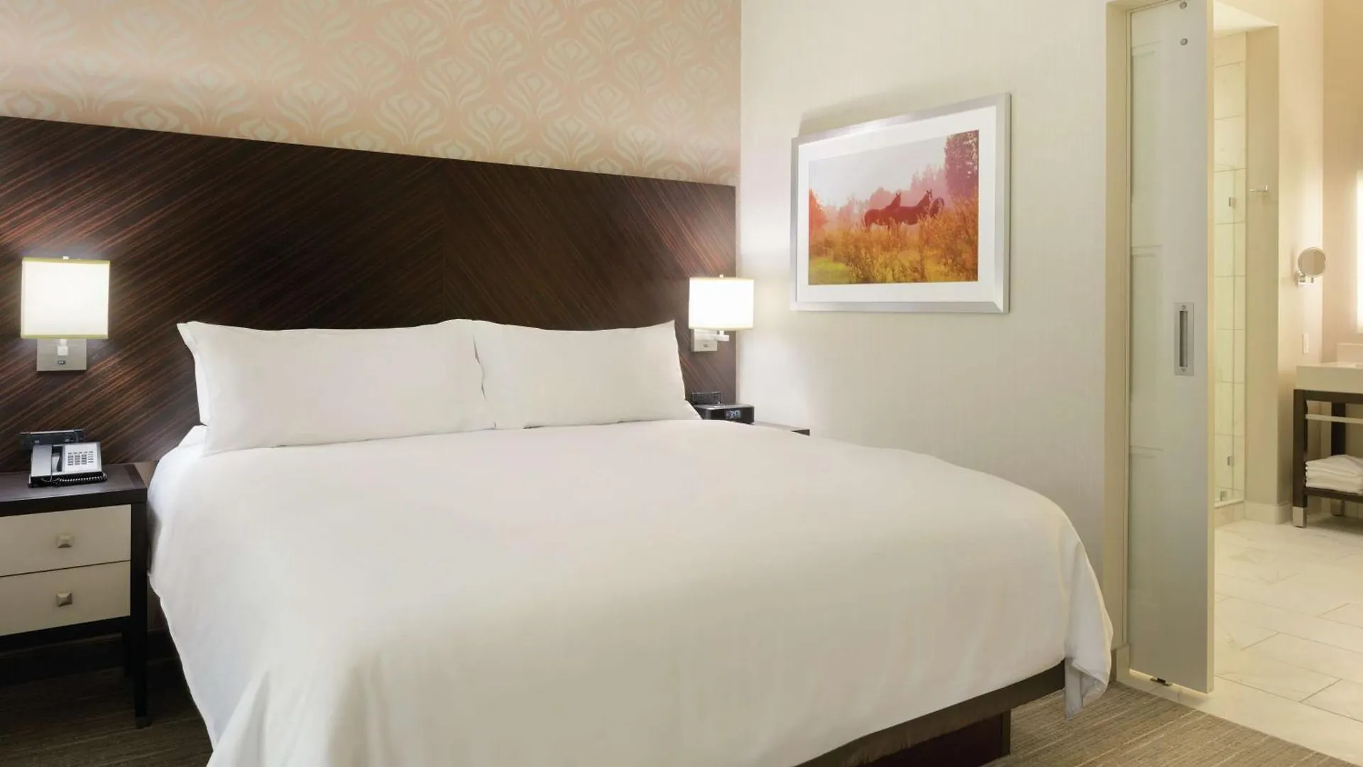Embassy Suites Louisville Downtown Hotel